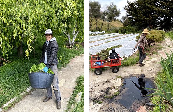 left: Farm Manager Abby holds a bucket of greens; right: Michiyo pulls a wagon of supplies along a pathway