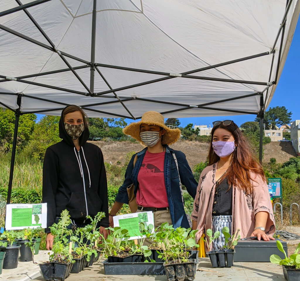 three women with COVID-19 face masks stand behind a table with plant starts under a pop-up canopy on a sunny day