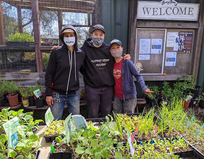 three people in pandemic face masks pose and smile behind a table displaying a variety of potted plant starts, with a welcome sign visible on the bulletin board behind them